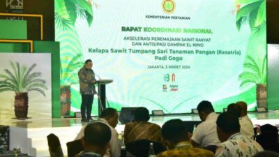 Papua Masa Depan, Kementan: Pulau Energi Terbarukan