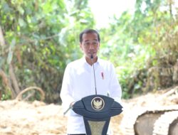 Persaingan Perbankan di IKN, Jokowi: Bank Kaltimtara Perlu Bentuk Konsorsium BPD