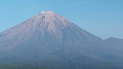 Semeru Erupsi, Tinggi Kolom Abu Vulkanik 500 Meter