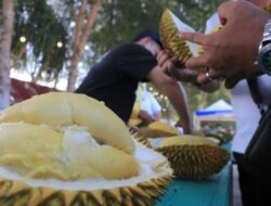 Proyeksi Permintaan Durian Indonesia ke China Capai 8 Miliar USD