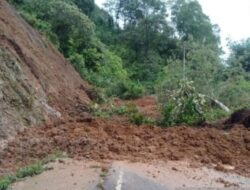 Rentetan Getaran Gempa, BMKG: Perbesar Kerawanan Longsor di Sumbar