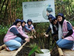 Pelestarian Lingkungan, PLN Icon Plus Tanam 200 Mangrove di Jakarta