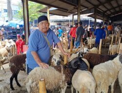 Aktivitas Penjualan Hewan Kurban di Cianjur Meningkat