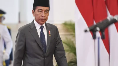 Presiden Jokowi Diputuskan Sudah Tidak Layak Mengurus Negara