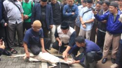 Pelatihan Juleha (Juru Sembelih Hewan Qurban) menjelang Idul Adha 1445 hijriah di 2024 digelar DPW LDII Jakarta pada 1 Juni 2024 dan 16 Juni 2024 - apakabar.co.id
