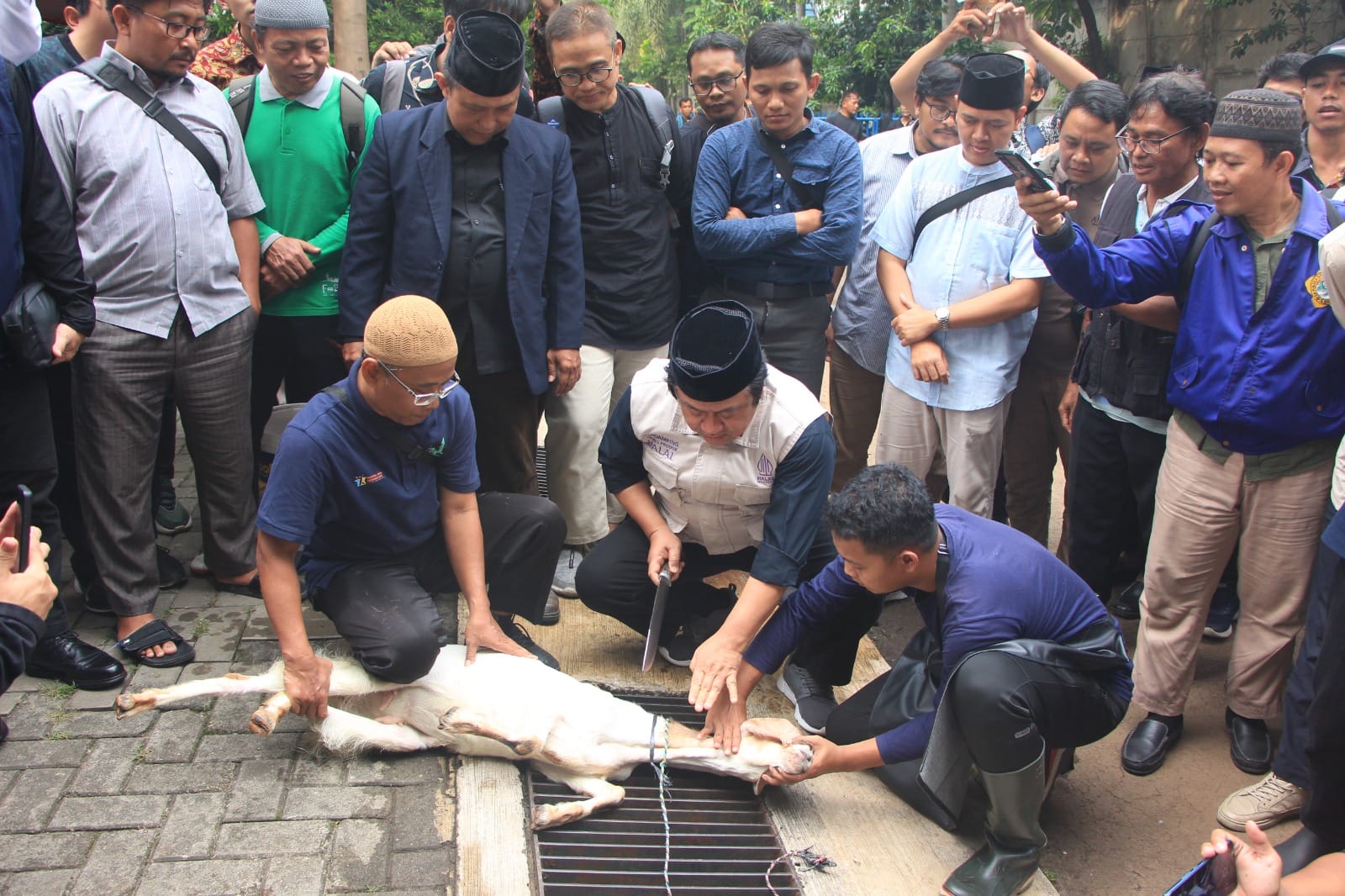 Pelatihan Juleha (Juru Sembelih Hewan Qurban) menjelang Idul Adha 1445 hijriah di 2024 digelar DPW LDII Jakarta pada 1 Juni 2024 dan 16 Juni 2024 - apakabar.co.id