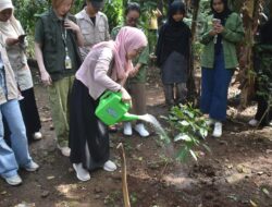 Hari Lingkungan Hidup Sedunia, KFLHK Tanam Pohon Serentak di 18 Provinsi