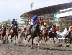 148 Kuda Bersaing di Kejurnas Seri 1 Indonesia Derby 2024