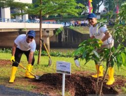 Dukung Ketahanan Pangan, Bantaran KBT Ditanami Pohon Produktif