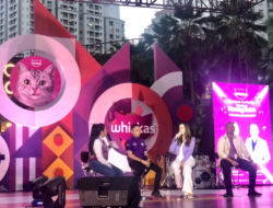 Raisa dan Whiskas Gaungkan Pentingnya Nutrisi Seimbang pada Kucing