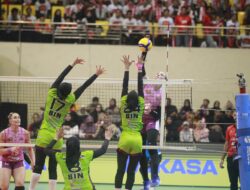 Proliga 2025 Digelar Awal Tahun, Tim Surabaya Samator Comeback