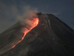 Selama Sepekan, Gunung Merapi Luncurkan 148 Kali Guguran Lava