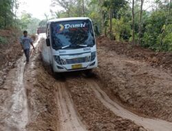 Pengamat: Anggaran Kemenhub Dibatasi, Indonesia Darurat Transportasi Publik