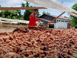 Kudeungoe Sugata Dapat Dana Hibah untuk Perkuat Rantai Pasok Berkelanjutan