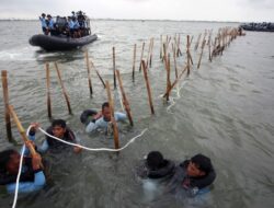 KKP Periksa 41 Orang Terkait Kasus Pagar Laut Tangerang