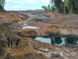 Pemulihan Hutan Unmul Butuh 50 Tahun, Tambang Ilegal Biang Kerok
