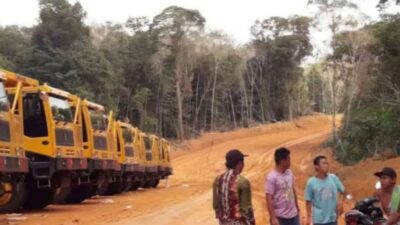 Tragedi Muara Kate, Izin Tambang MCM di Ujung Tanduk