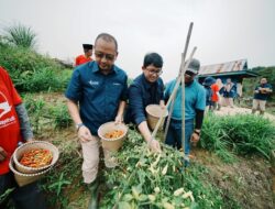 Pupuk Kaltim Hadirkan Smart Green House, Panen Melon hingga Cabai