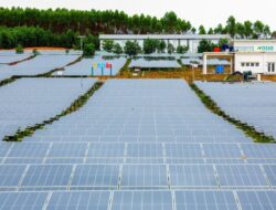 Otorita dan Singapura Kolaborasi Kembangkan Energi Hijau di IKN