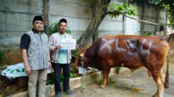 Sekretaris DPW LDII Jakarta, Muhammad Ied menerima 1 ekor sapi untuk kurban dari Gubernur DKI, Pramono Anung-apakabar.co.id