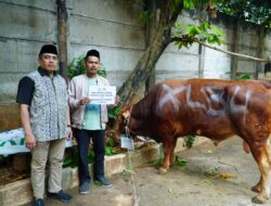 Gubernur DKI Serahkan Sapi Kurban kepada LDII Jakarta, Perkuat Sinergi Sosial dan Keagamaan