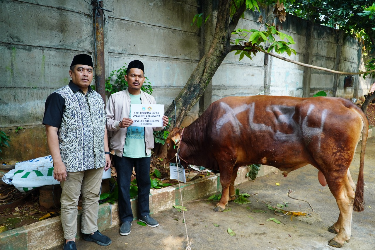 Sekretaris DPW LDII Jakarta, Muhammad Ied menerima 1 ekor sapi untuk kurban dari Gubernur DKI, Pramono Anung-apakabar.co.id