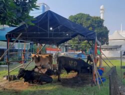 Yuk, Jadikan Idul Adha Ajang Kepedulian dan Pengorbanan untuk Sesama