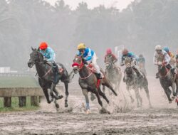 Triple Crown, Gelar Langka Menggoda di Pacuan Kuda Indonesia