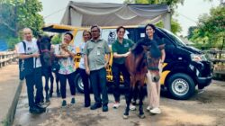 JAAN Domestic dan Lady Freethinker Hadirkan Mobil Klinik untuk Kuda Delman di Indonesia - apakabar.co.id