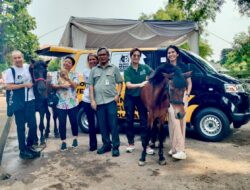 JAAN Domestic dan Lady Freethinker Hadirkan Mobil Klinik untuk Kuda Delman di Indonesia