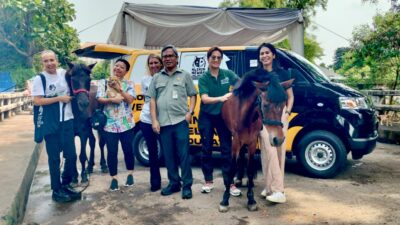 JAAN Domestic dan Lady Freethinker Hadirkan Mobil Klinik untuk Kuda Delman di Indonesia - apakabar.co.id