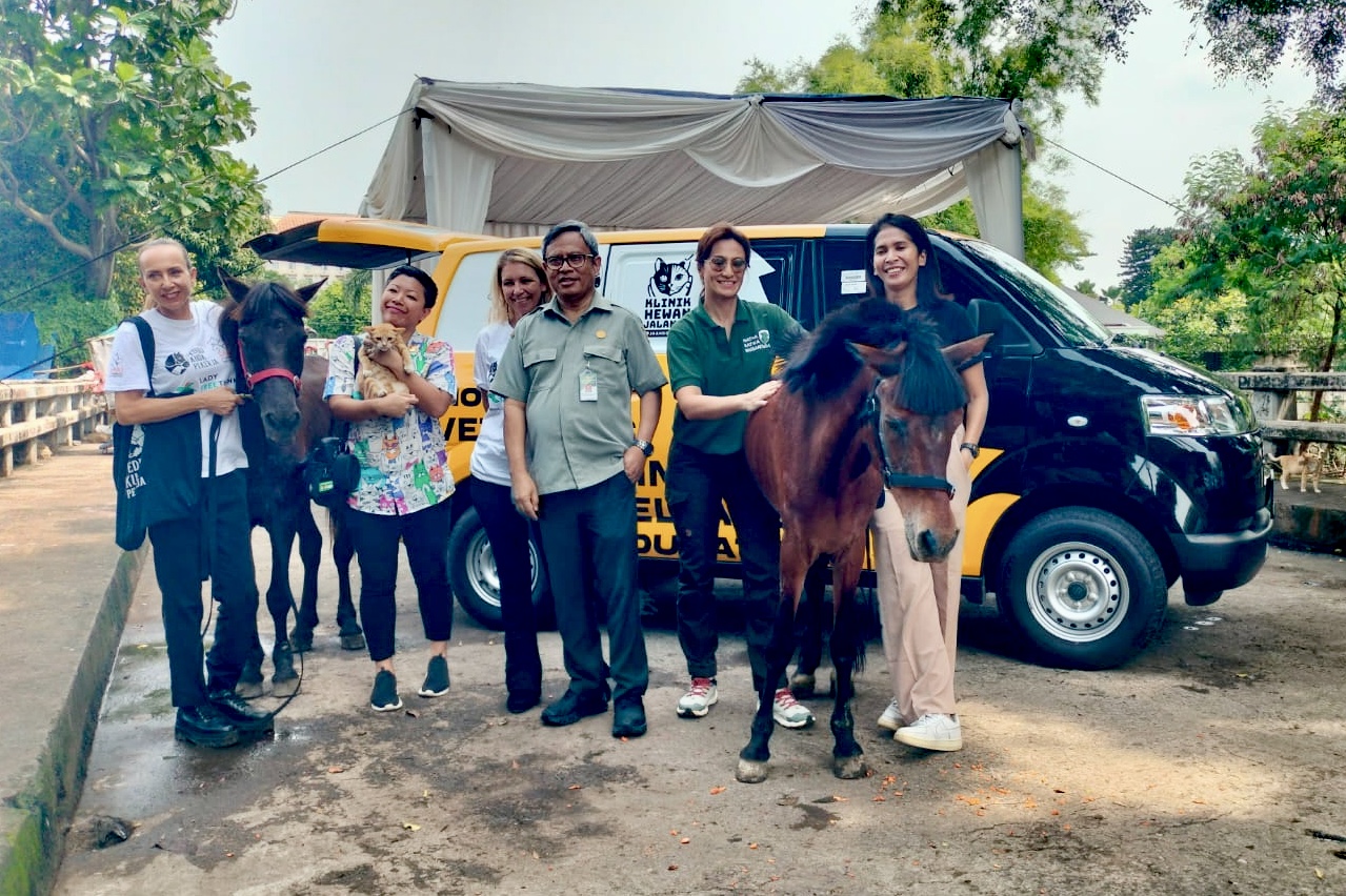 JAAN Domestic dan Lady Freethinker Hadirkan Mobil Klinik untuk Kuda Delman di Indonesia - apakabar.co.id