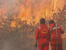 Pembakaran Lahan, Menteri Hanif: Kejahatan Lingkungan Berat