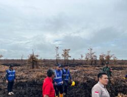 KLH Segel Lahan Terbakar Seluas 200 Hektare di Kalbar